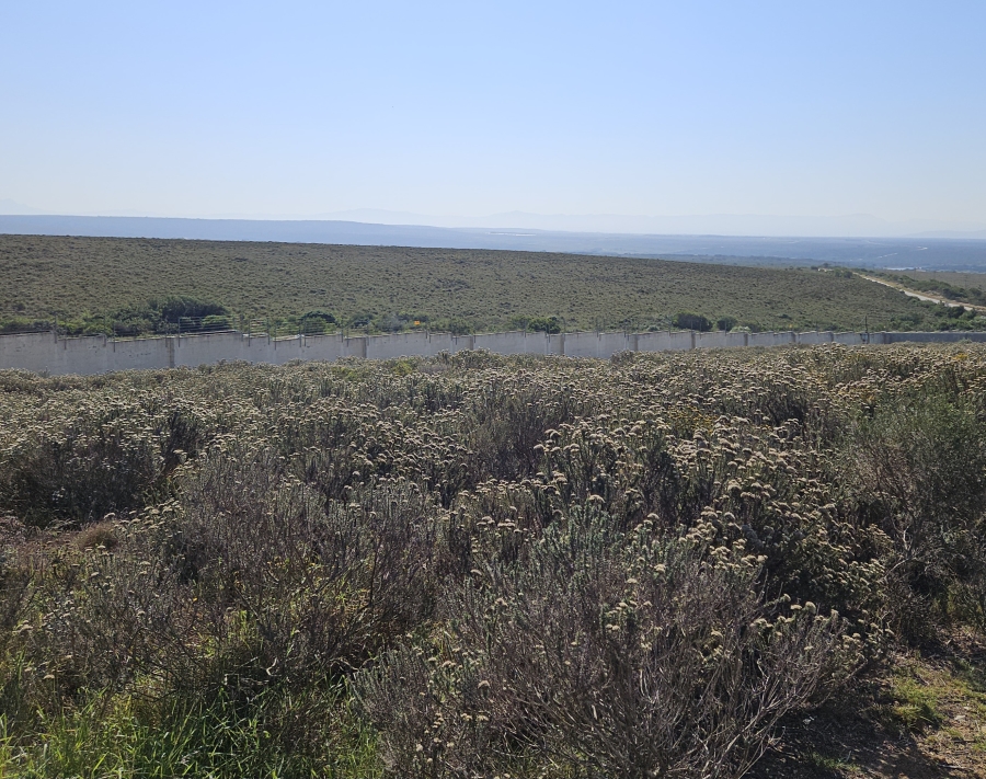 0 Bedroom Property for Sale in Blue Waters Estate Eastern Cape